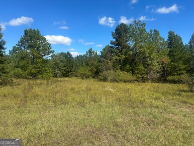 0 Tram Rd, Sylvania, GA 30467 - photo 3