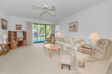 1441 Pine Glen Ln unit E2, Tarpon Springs, FL 34688 - photo 6