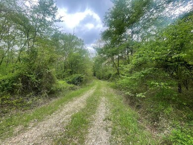 260 Box Elder Ln, Broken Bow, OK 74728 - photo 5