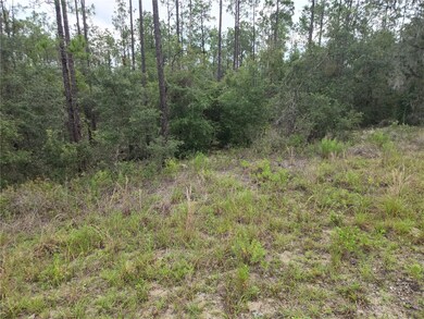 Lot 20 SW North Lake Blvd, Dunnellon, FL 34431 - photo 4