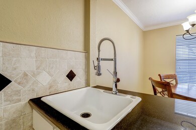 A closer look at the large farmhouse sink and the