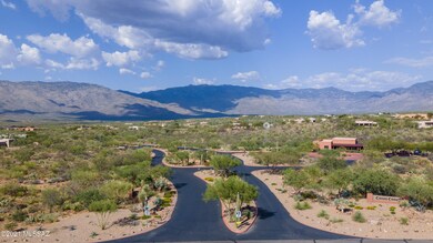 coyote-creek-2020-5