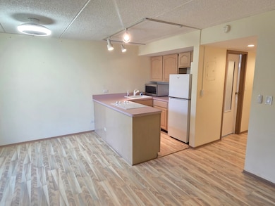 255 S West Ave unit 214, Elmhurst, IL 60126 - photo 2