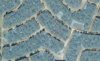 0000 SW 147th Street Rd, Ocala, FL 34473 - photo 2