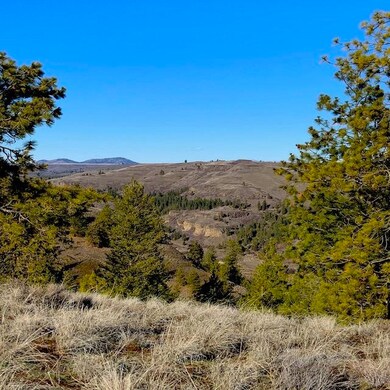 31775 Ruffed Grouse Dr E, Davenport, WA 99122 - photo 4