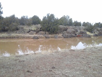 Lot 112 Juniperwood Ranch Unit 3, Ash Fork, AZ 86320 - photo 7