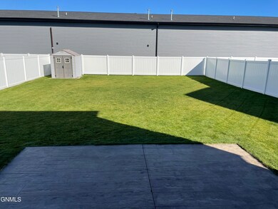 backyard summer
