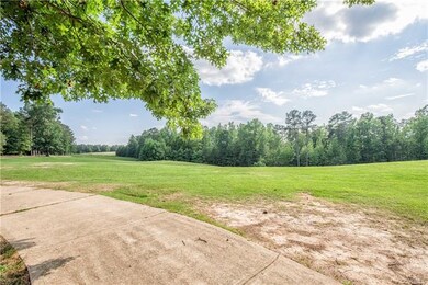 Hole 10 of Brickshire from the backyard