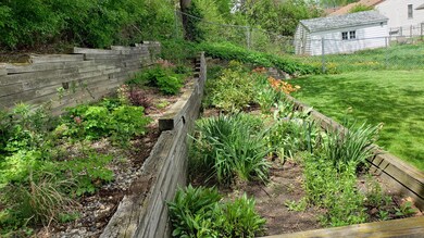 Back Yard 5