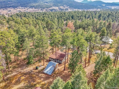 26731 Vosler St, Conifer, CO 80433 - photo 5