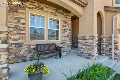 9256 Penobscot Ct, Colorado Springs, CO 80924 - photo 4