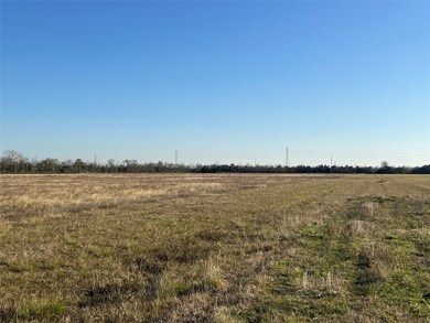 Lot 4 Rymal Ranch Rd, Algoa, TX 77511 - photo 4