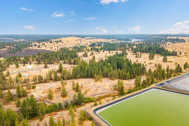 17700Blk W Williams Lake Rd, Spokane, WA 99004 - photo 5