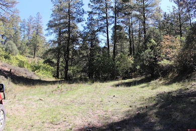 290 Wits End Place, Pagosa Springs, CO 81147 - photo 6