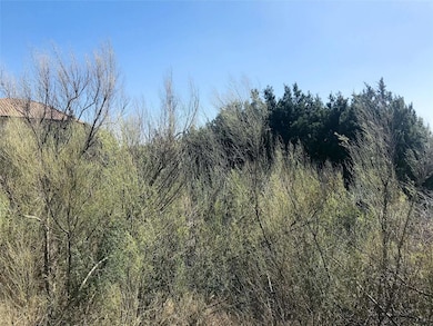 8917 Ranchland Hills Blvd, Jonestown, TX 78645 - photo 5