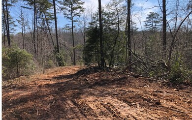 LT 21 Spring Run Dr, Blue Ridge, GA 30513 - photo 2