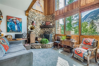 819 Valley View Dr, Georgetown, CO 80444 - photo 4