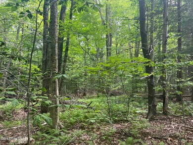 0 Johnny Cake Hill Rd unit 246420, Middlefield, MA 01243 - photo 7