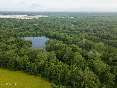 403 Mount Pleasant Rd, Zachary, LA 70791 - photo 5