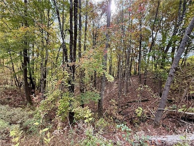 TBD Highland Rd N, North Wilkesboro, NC 28659 - photo 7