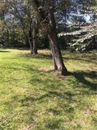 HUGE backyard