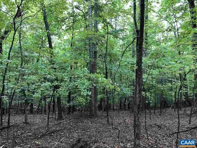 280 Foothills Dr, Nellysford, VA 22958 - photo 4