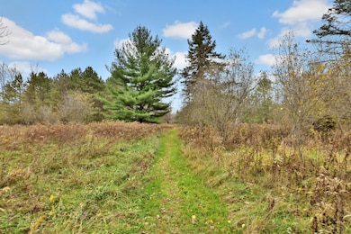 13599 Keystone Ave N, Hugo, MN 55038 - photo 6