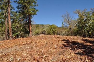 0 Pair-A-dice Ranch Rd unit 102988472, Jacksonville, OR 97530 - photo 6