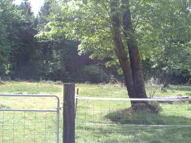 1908 382nd St S, Roy, WA 98580 - photo 4