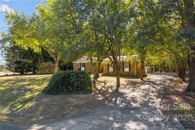 Jasmine smells wonderful when blooming!