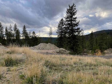 15223 N Cliff Ln unit Site 118A, Spokane, WA 99208 - photo 4