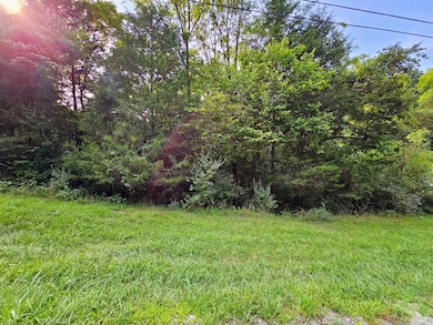 445 Elk Lake Resort Rd unit 1421, Owenton, KY 40359 - photo 5