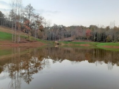 What a view!