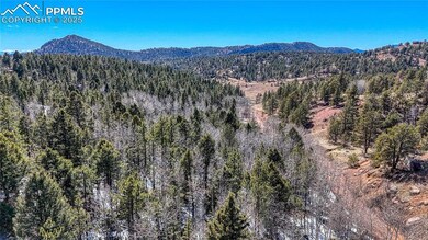 542 Vivenda Rd, Cripple Creek, CO 80813 - photo 6
