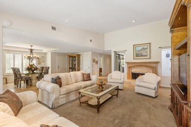 30_living area fire place