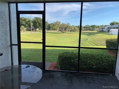 810 E Gilchrist Ct unit 3A, Hernando, FL 34442 - photo 4