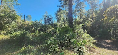 TBD N Edgeline Rd, Satsuma, FL 32189 - photo 2