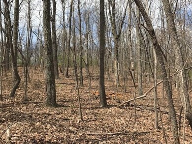thumbnail_IMG_1355