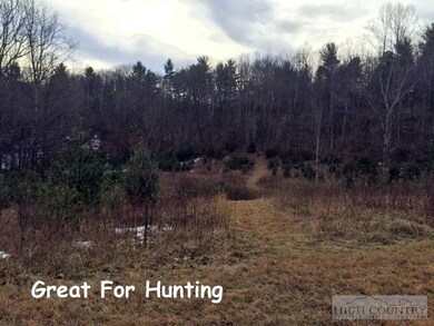 738 Patton Ridge Rd, Deep Gap, NC 28618 - photo 4