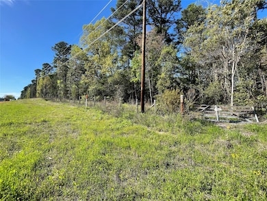 2151 E Hwy 80, Mineola, TX 75773 - photo 4