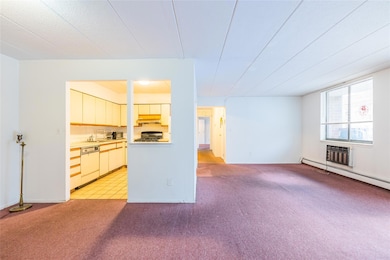 136-24 Maple Ave unit 3B, Flushing, NY 11355 - photo 4