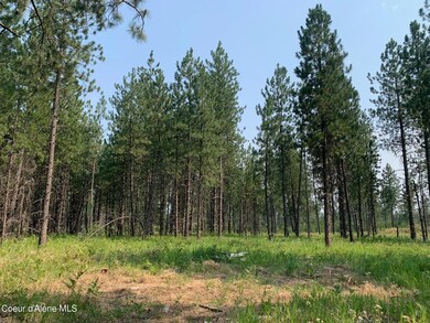 32606 N Sheep Springs Rd, Athol, ID 83801 - photo 4