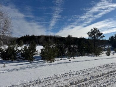 TBD S Us 131, Boyne Falls, MI 49713 - photo 4