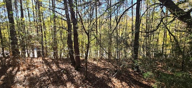 27 Foster, Lafayette, GA 30728 - photo 4