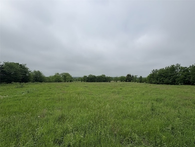 View of local wilderness with a rural view