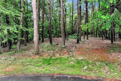 View of local wilderness