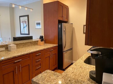 21 Worcester Square unit 3, Boston, MA 02118 - photo 2
