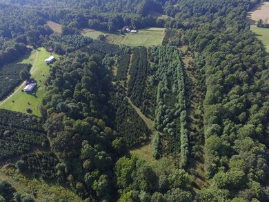 DJI_0012