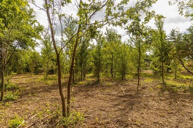 TBD 1 Ox Mill Creek Rd, Weatherford, TX 76087 - photo 6