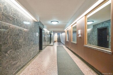 Northridge Section III unit C409, East Elmhurst, NY 11369 - photo 4